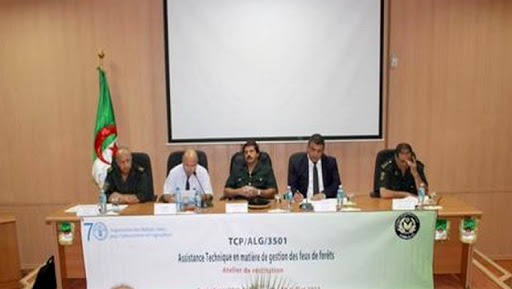 Vers l’adoption d’un dispositif de recherche des causes d’incendie en Algérie