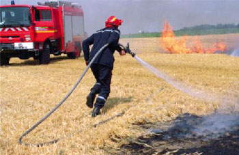 Accidents de la circulation : 11 morts et 52 blessés en 24 h