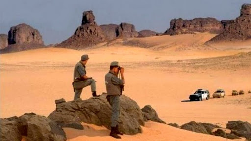 Arrestation de 40 contrebandiers par l’ANP dans le sud du pays (MDN)