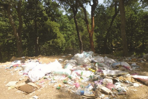 Autrefois lieu de tourisme climatique par excellence, Yakourène : une catastrophe écologique menace la forêt