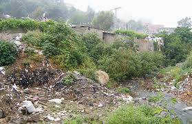 Blida : Des projets pour venir à bout des problèmes de la pollution de l’environnement