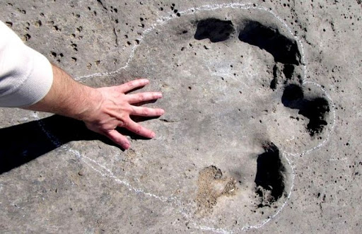 Découverte de traces de dinosaures en RD Congo