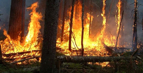 Deux maisons, des poulaillers et des écuries incendiés