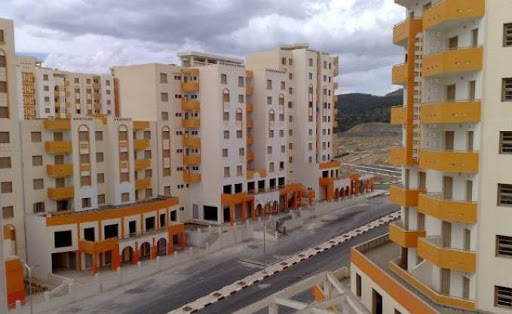 Habitat : Les jeunes de l’ANSEJ pour gérer les cités AADL