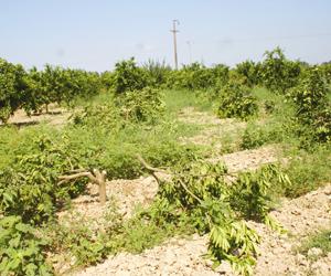 Investissement : De nouvelles modalités de concession de gré à gré des terrains
