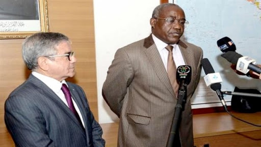 L’Algérie est « très présente » dans la promotion de la paix au Sahel (responsable nigérien)