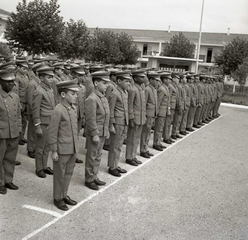 Les anciens Cadets de la Révolution organisent leur 1er Congrès à Batna