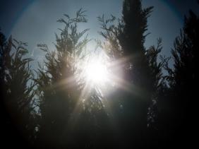 Les sept premiers mois de l&rsquo;année les plus chauds, juillet bat le record
