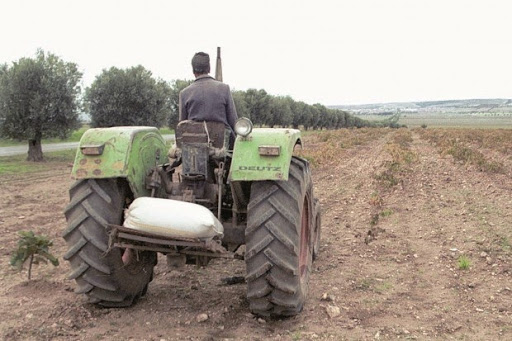 Marchés de gros : Les agriculteurs y vendront leurs produits