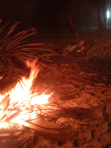 MASCARA : Le bois de ‘’Zakour’’ ravagé par le feu