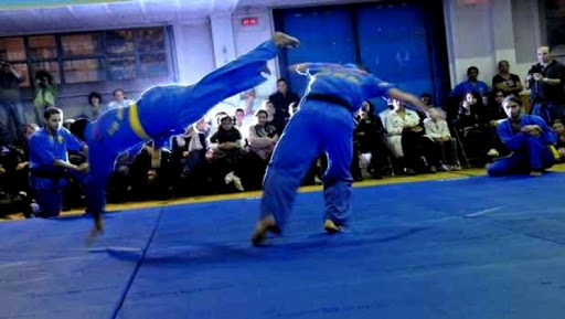 Mondiaux-2015 de Vovinam Viet Vo Dao, L’Algérie termine 2e derrière le Vietnam