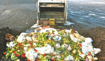 ORAN : 10 tonnes de fruits et légumes jetées quotidiennement à El Kerma