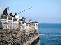 Pêche à la ligne La période idéale pour ferrer le maximum de poissons