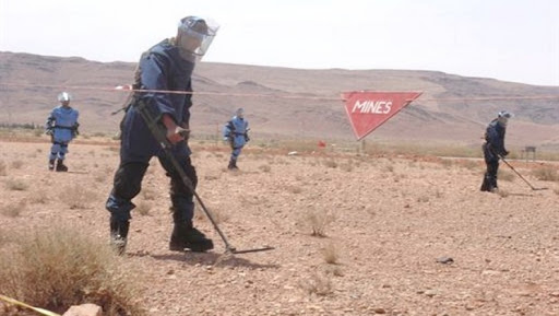 Plus de 7.300 mines datant de l’ère coloniale détruites en juillet 2015