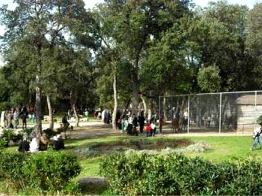 Près de 10.000 visiteurs par jour au parc animalier de Kissir (Jijel)