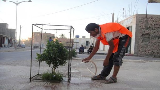 Programme « Blanche Algérie »: 130 projets retenus pour El-Oued en 2015