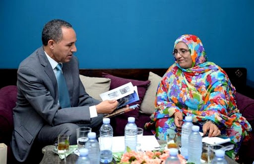 Programme de formation dans le domaine culturel en soutien au Sahara Occidental