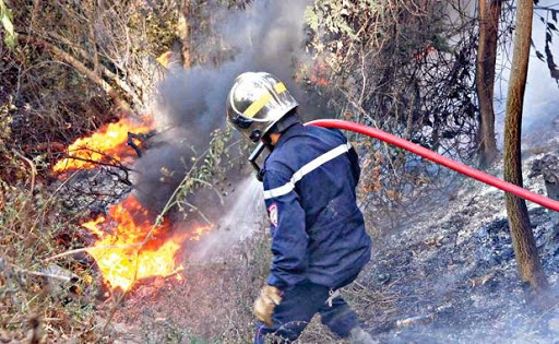 Sidi Bel-Abbès / un mort et cinq blessés dont un grièvement : La forêt de Guetarnia en flammes