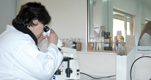 Thalassémiques : le calvaire au quotidien