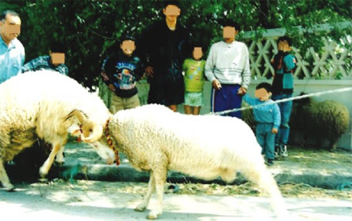 Trafic de cheptel : L’Aid El Adha donne des idées aux malfaiteurs !