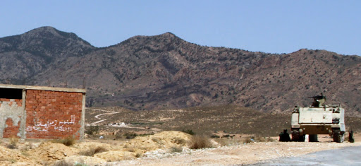 Tunisie: Un douanier tué et trois blessés par un groupe armé à Kasserine
