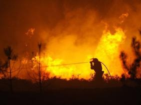 Un garde forestier mort brulé vif dans un incendie de forêts à Sidi Bel abbès