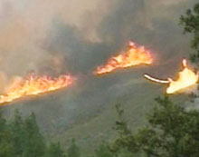 USA : la Californie brûle