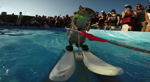 Youtube lance son lecteur vidéo nouvelle génération