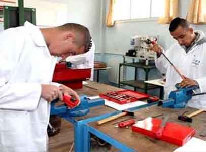 Blida : L’importance de la formation par apprentissage