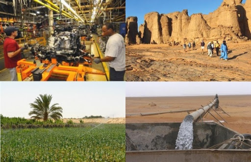 Coopération algéro-hongroise: Les secteurs de coopération économique « prioritaires » présentés