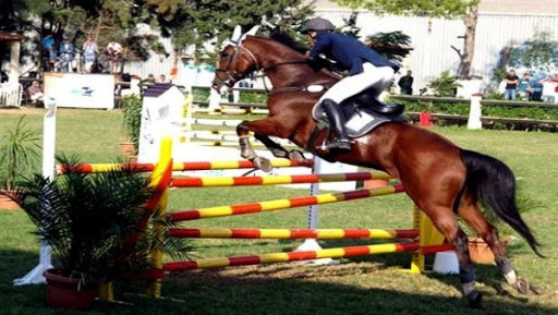 Equitation : Lina Boutekdjirat de Zeralda remporte le concours international de saut d’obstacles à Skikda