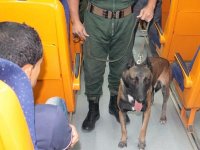 Il circulait avec 18 identités au niveau de 12 wilayas Fin de cavale pour « le grand maître du faux » de Ghardaïa