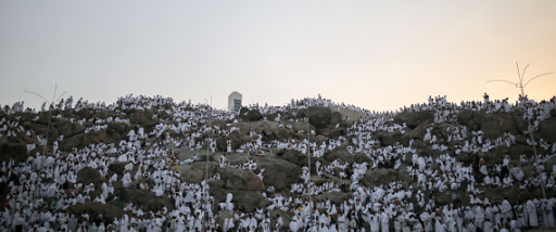 La Mecque: les pèlerins sur le Mont Arafat, moment fort du hajj