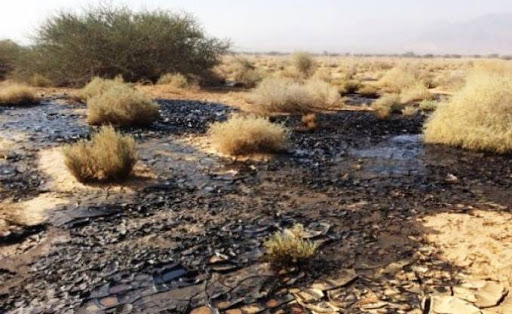 La section syndicale de Sonatrach tire la sonnette d’alarme