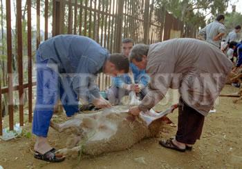 L&rsquo;aid el Adha achève ce qui reste des économies, La dernière folie des ménages