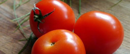 L&rsquo;Algérie sera un pays exportateur de tomates en 2017, estime Laid Benamor