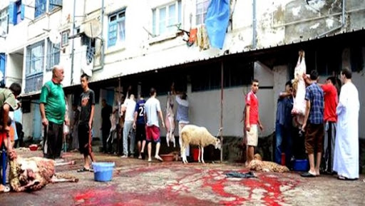 Manipulation d&rsquo;accessoires de l&rsquo;Aïd : 120 personnes blessées à Oran