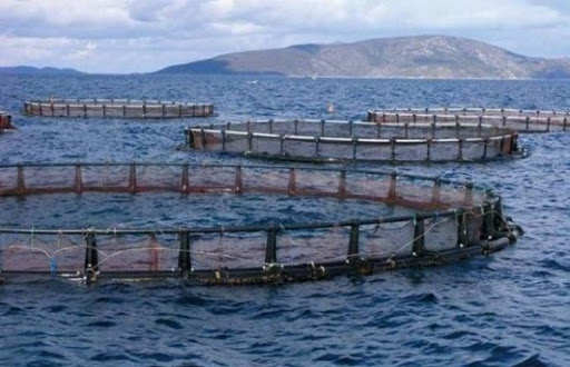 Oran: 130 exposants attendus au 6ème Salon international de la pêche et de l&rsquo;aquaculture 2015