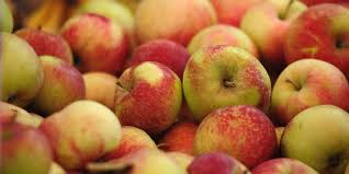 Oum El Bouaghi : plus de 16.000 qx de fruits attendus :