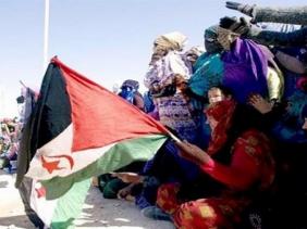 Référendum au Sahara Occidental: l&rsquo;Afrique du Sud appelle l&rsquo;ONU à fixer une date