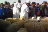 Situation sécuritaire à M’sila La région n’est plus « une plaque tournante » du crime