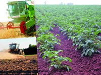 Tipasa – Lancement de la campagne agricole 2015-2016 Aller au-delà des contrats de performance