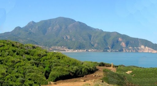 Ahmer el ain (tipasa) l’agglomération «cinq chouhada» nettoyée