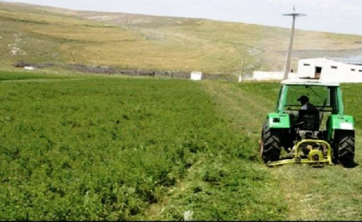 Agriculteurs et éleveurs: Vers l’accès à la sécurité sociale et à la retraite