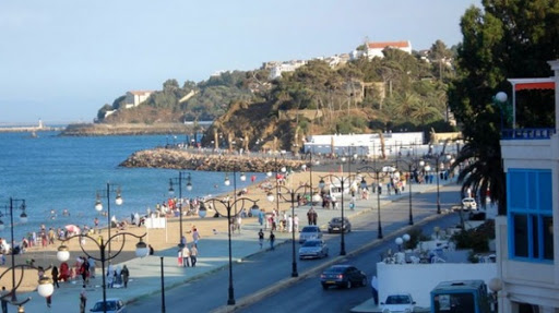 Annaba : une entreprise publique chargée de l’hygiène, des espaces verts et de l’éclairage avant fin 2015