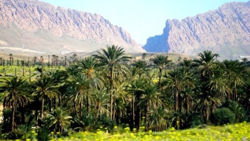 Biskra : des indicateurs socioéconomiques en droite ligne des priorités du Gouvernement