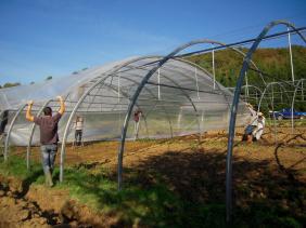 Biskra : l’extension de la plasticulture booste les productions agricoles