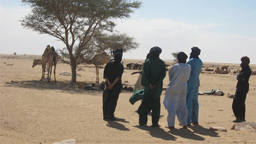 Certains sont torturés, d&rsquo;autres assassinés par Aqmi: 25 nomades éleveurs enlevés aux frontières algéro-maliennes