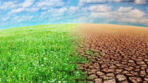 Changements climatiques : appel au renforcement de la recherche et développement aux niveaux national et régional