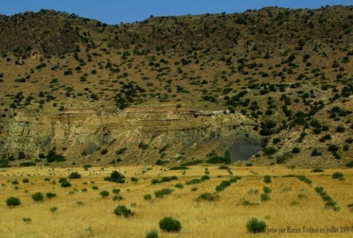 Changements climatiques : l&rsquo;analyse de vulnérabilité d&rsquo;un territoire est « indispensable » dans la stratégie d&rsquo;adaptation (ASAL)